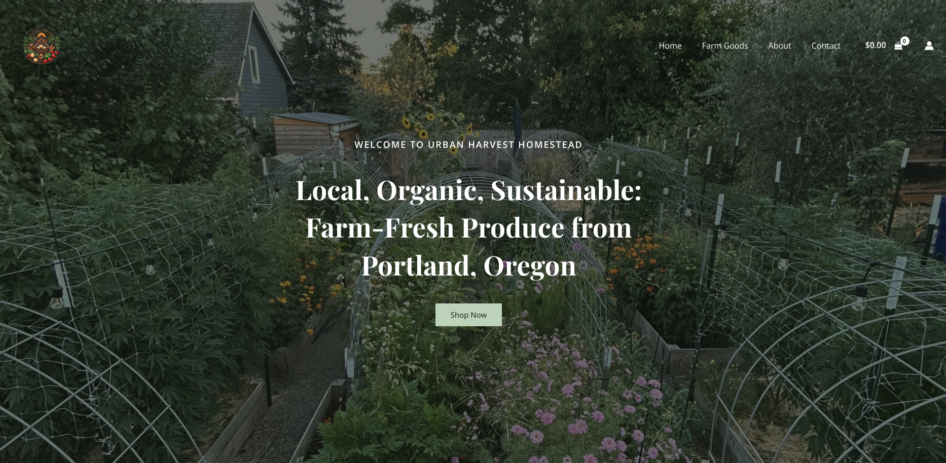 Website Image